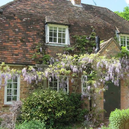 Tilford Mill Cottage Farnham (Surrey) Ngoại thất bức ảnh