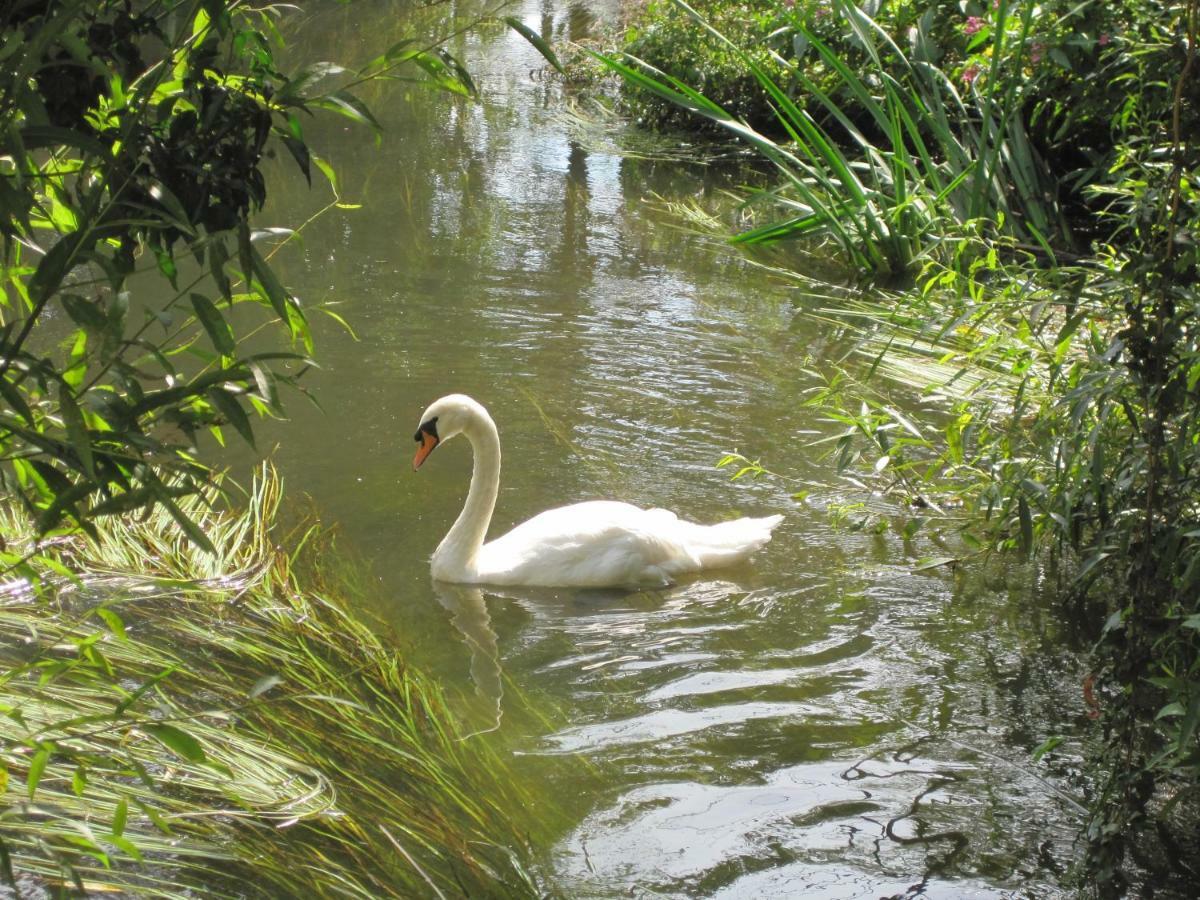 Tilford Mill Cottage Farnham (Surrey) Ngoại thất bức ảnh